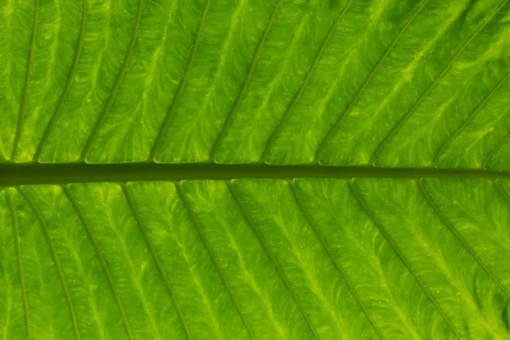 Photo Green building materials