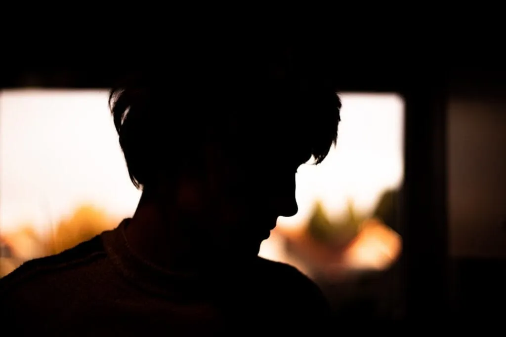 Photo Window profiles