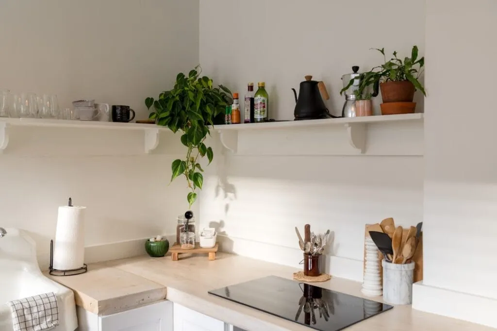 Cum să îți păstrezi curățenia într-o locuință de închiriat Photo Clean kitchen