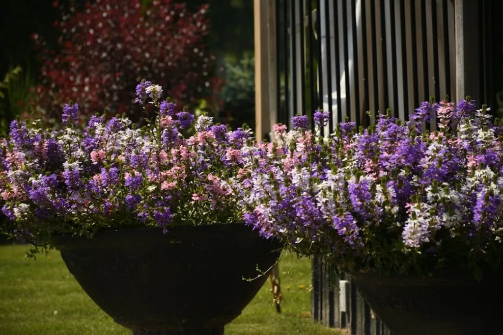 Photo Colorful garden