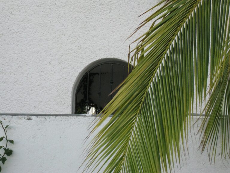 Photo house inspection