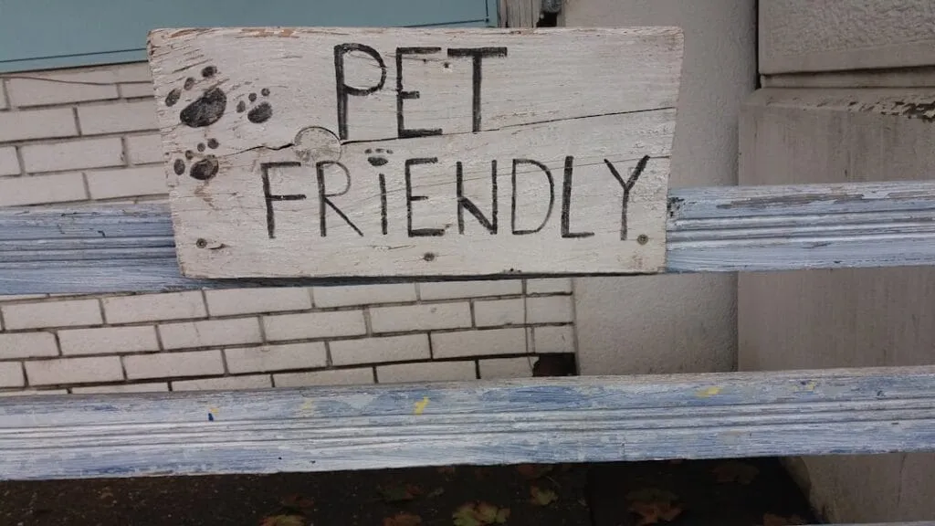 Photo house with space for pets