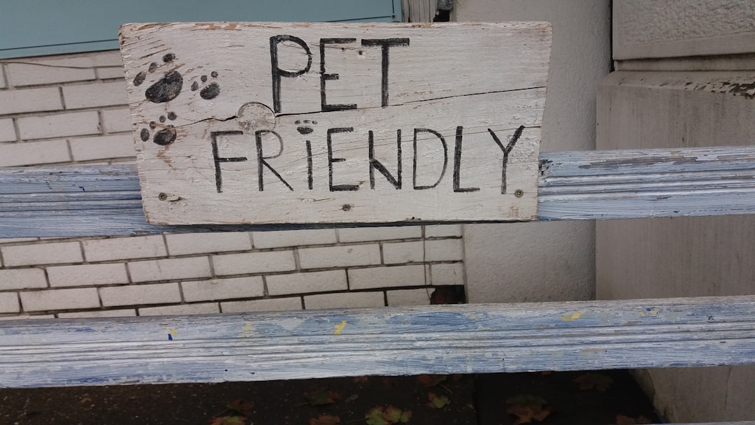 Photo house with space for pets