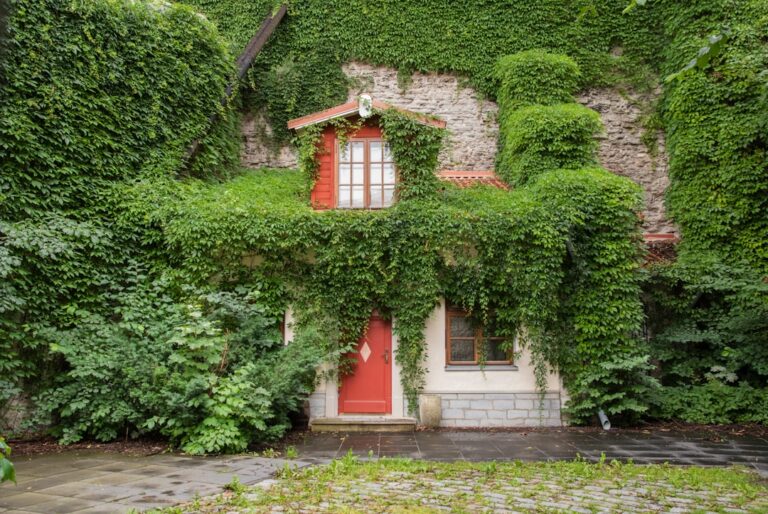 Photo choose a house with a small garden