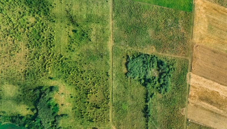 Photo invest in agricultural land