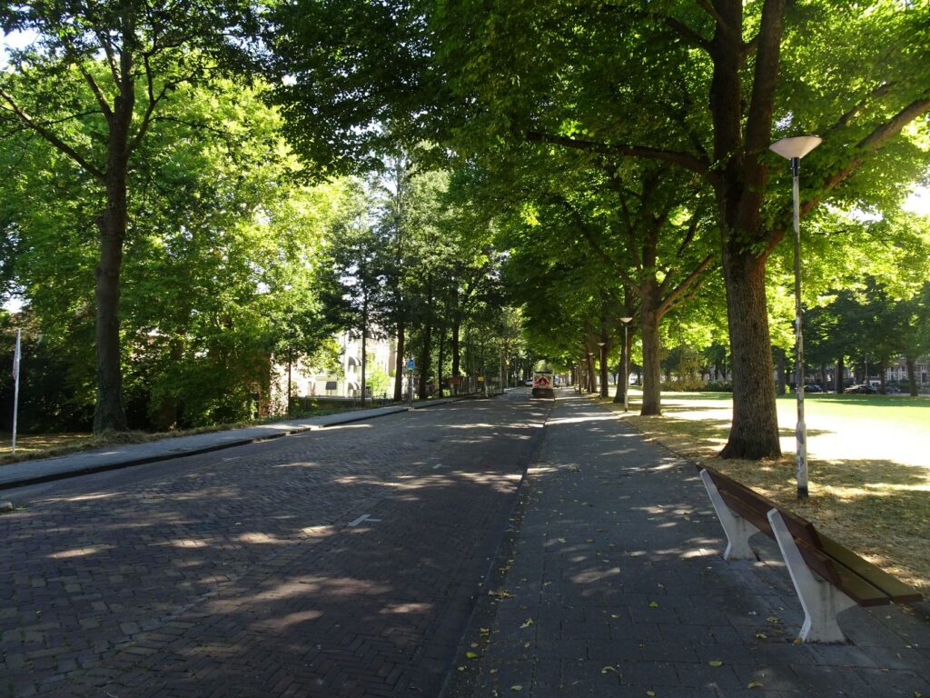 Ce infrastructură trebuie să existe într-un cartier nou Stradă nouă asfaltată, cu stâlpi de iluminat și blocuri în fundal