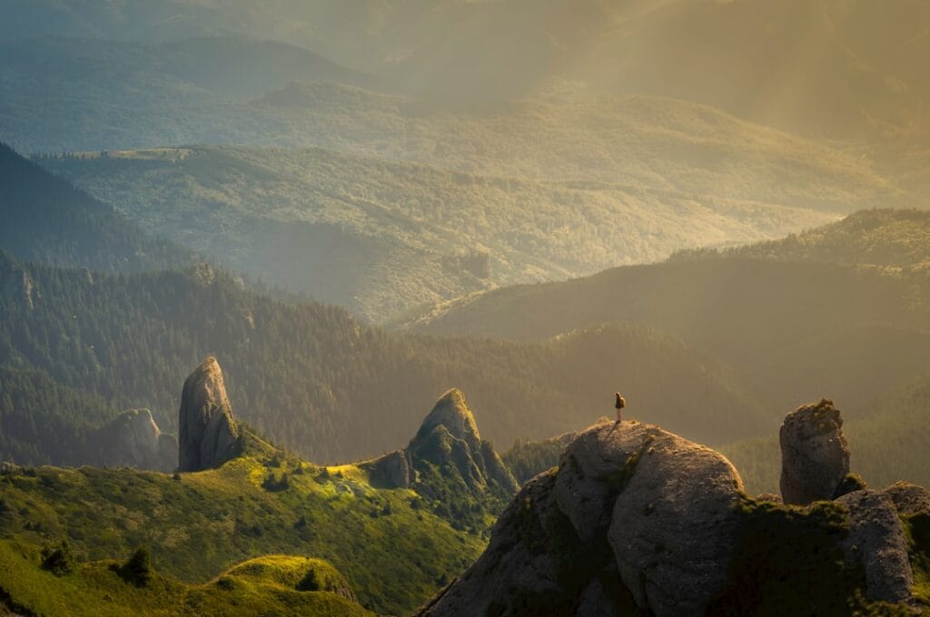 Cum se evaluează potențialul de creștere al unei zone rezidențiale Photo zone rezidențiale